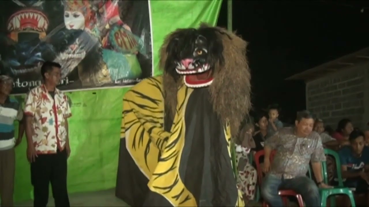 Barongan BMTW Budoyo Mudho Tali Wongso Edisi Live Malam #memetshootingchanel