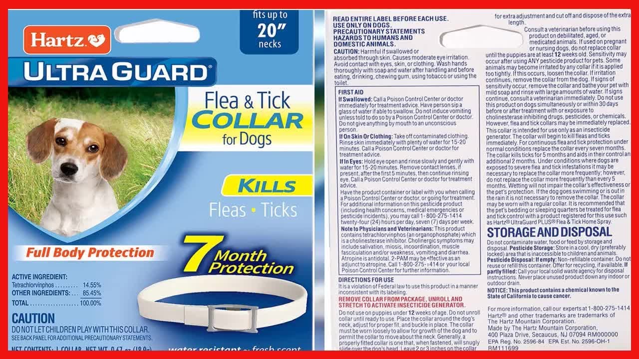 Hartz UltraGuard Flea & Tick Collar for Dogs and Puppies, 7 Month Flea