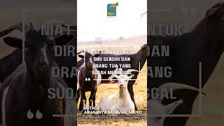 [SHORT] Kurban Untuk Sendiri Dan Orang Tua Yang Sudah Meninggal - Ust Badru Salam, Lc