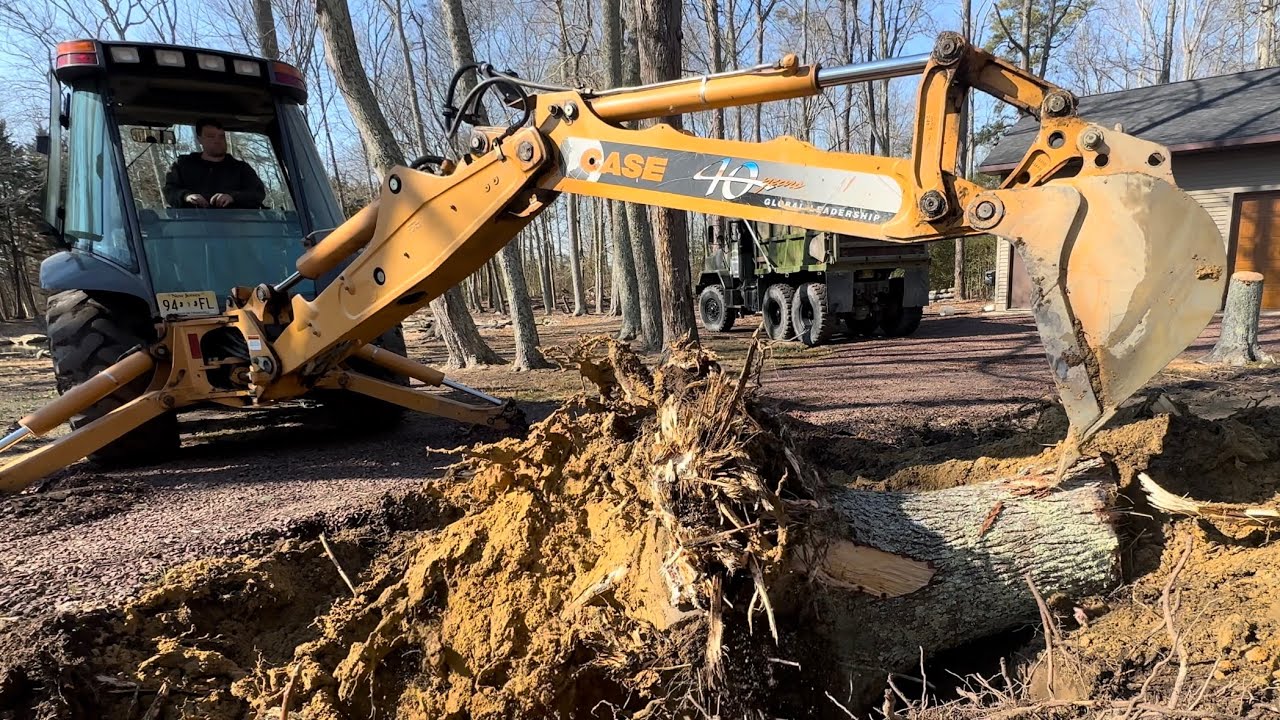 Removing Tree Stumps - YouTube