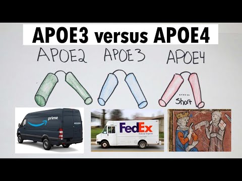 APOE4 | APOE4 versus APOE3