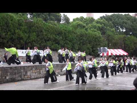 ザ・よさこい！大江戸ソーラン祭り（2014）（8）