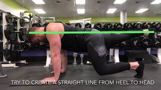 Bear Plank with Alternating Kick Backs