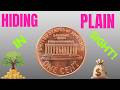 The Rarest Pennies Ever Made Are Still Hiding in Plain Sight  This Video Could Make You Rich!!