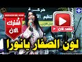 ميمي الراشدين لون الصفار يانورا فضل مدنى منذر مدني الروما ساكس اغاني سودانية 2026