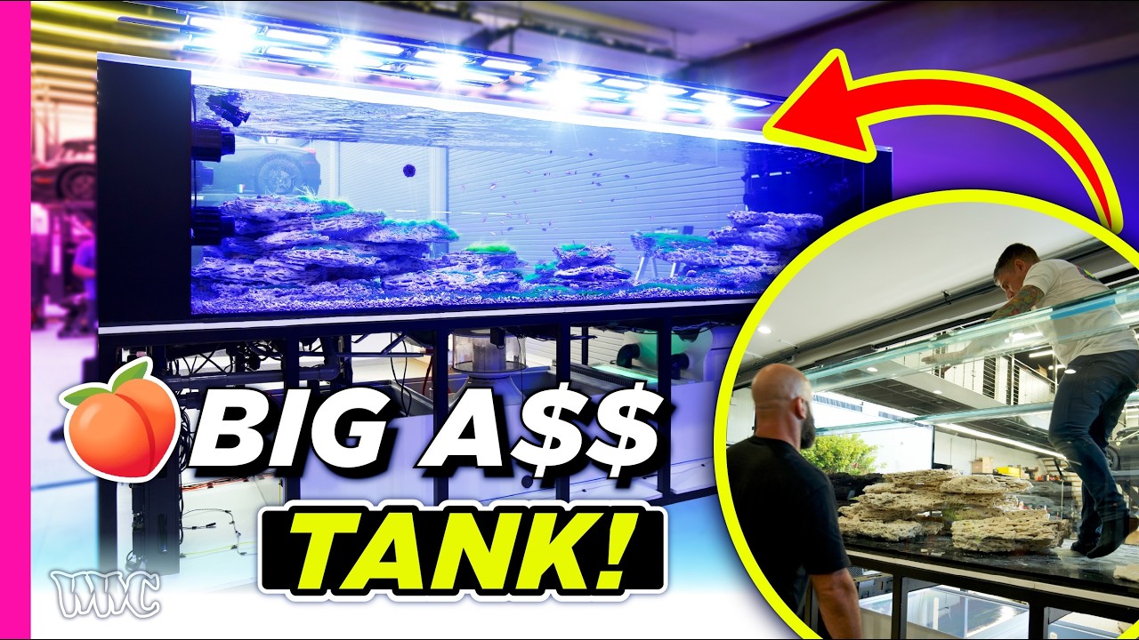 What It Takes to Set Up a 1500G Super Tank