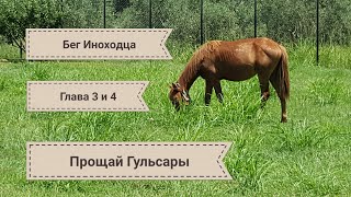 Бег Иноходца Прощай Гульсары 3 и 4  главы  3 серия