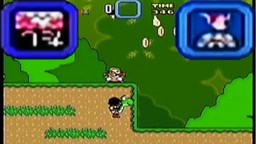 SMW ǀ Unintended Item Spawning ǀ Winged Cage (Hidden Unused Item) [RTA]