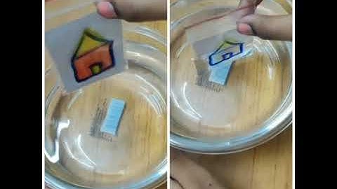Light Refraction Tricks | paper magic tricks water | DIY Science experiment craft for kids #shorts