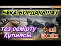 БҰҚА БОРДАҚЫЛАУ! Ауылда айына миллион әкелетін кәсіп!