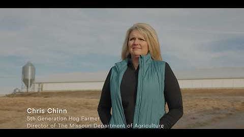 How the PRRS-resistant pig provides innovation and impact for farmers – full-length film