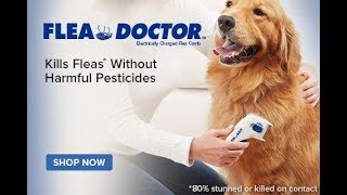 as seen on tv flea doctor