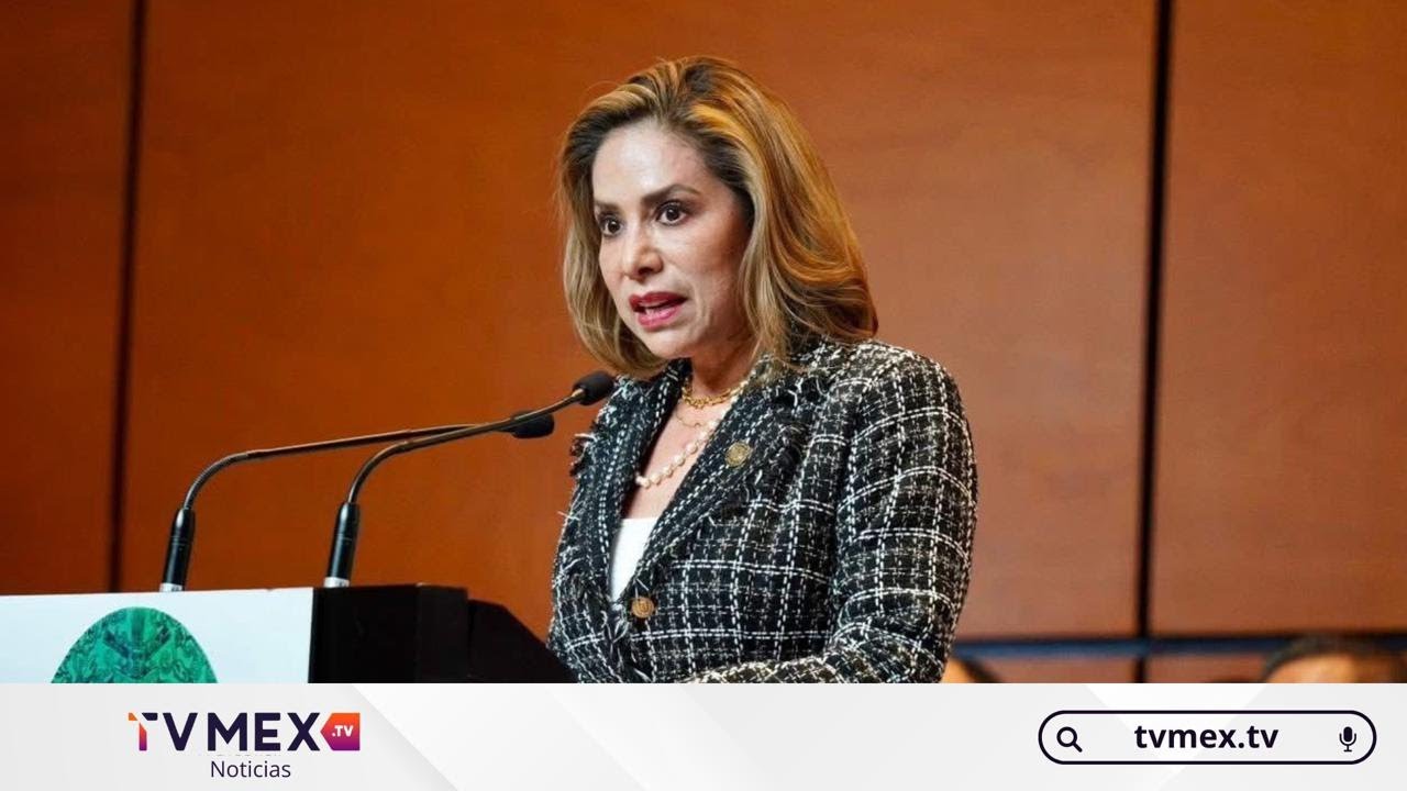 Diputada Ivonne Ruiz exige rescatar el sistema de salud ante su colapso