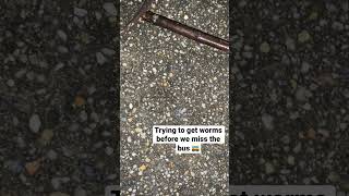 Famous Mother Nature left his a gift for the Garden 🪱 Net Worth