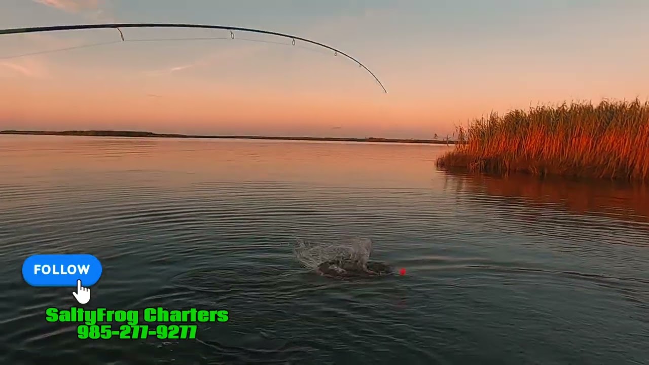 Call 985-277-9277 for your next Louisiana fishing trip 
