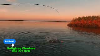 Call 985-277-9277 For Your Next Louisiana Fishing Trip