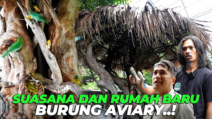 PEMANDANGAN LUAR BIASA..! RUMAH POHON TERBARU KARYA HERRY RASIO DI SERBU PULUHAN BURUNG AVIARY..!
