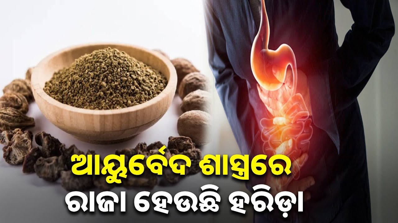 ହରିଡାରେ ପ୍ରଚୁର ପରିମାଣରେ ଔଷଧୀୟ ଗୁଣ ମିଳିଥାଏ, ଜାଣନ୍ତୁ କେମିତି କରିବେ ବ୍ୟବହାର || Knews Odisha