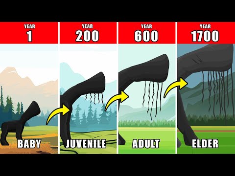 1700 Years of The Day 17 Life Documentary: How The Day 17 Might Have Lived