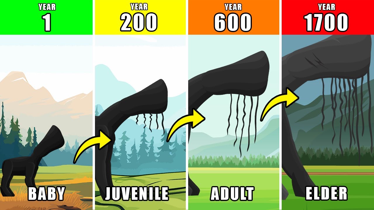 1700 Years of The Day 17 Life Documentary: How The Day 17 Might Have Lived