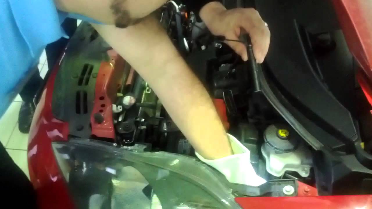 Baby squirrel chews up my car wires YouTube