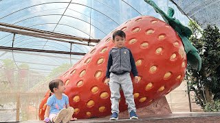 Download lagu Daniel & Raisa at Cameron Highlands