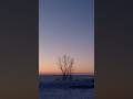 Waiting for Prairie Sunrise #sunrise #cinematic #explorecanada #exploration