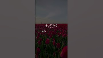 قل أعوذ برب الناس ملك الناس إله الناس من شر الوسواس الخناس سورة الناس رعد الكردي ڕەعد کوردی