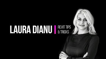 Revit Revision Clouds | Laura Dianu