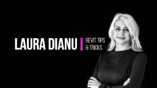 Revit Revision Clouds | Laura Dianu