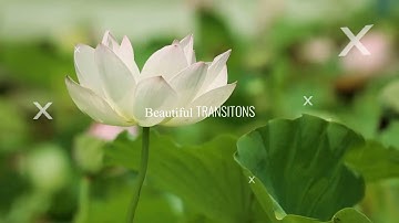 Cinematic Modern Parallax Slideshow - After Effects Slideshow