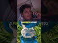 Paolo e il pesce