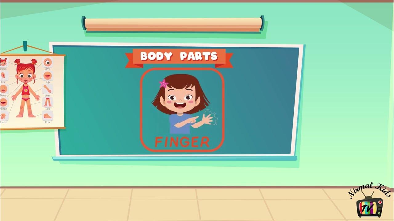 Learn Parts Of Body Name Parts Of Body Name In English Human Body learn-parts-of-body-name-parts-of-body-name-in-english-human-body