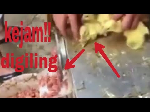 Makanan Jorok China