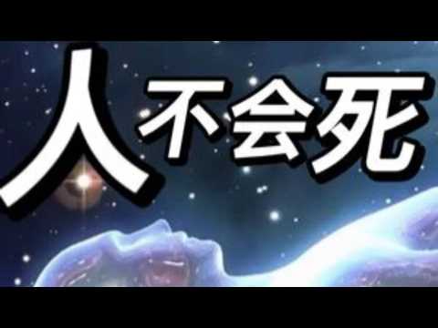 人不会死｜老高与小茉
