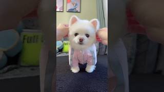 1 Decem24#shorts #trending #viralvideo