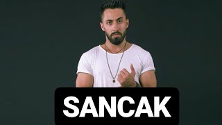 Sancak - Ben Zaten Duramam (Official Audio)