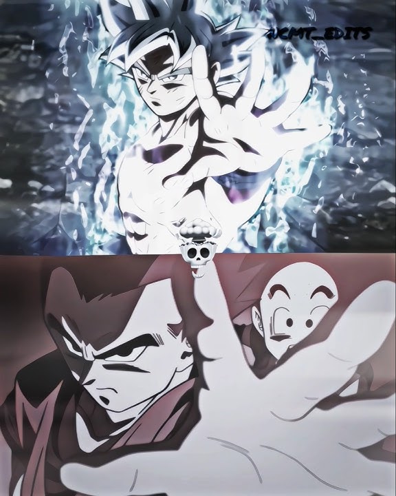 Gohan x Goku Ultra Instinct Reference ☠💀 #goku #gohan #dbz #uigoku #skulledit