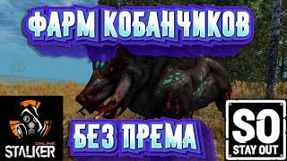 :         STAY OUT  STALKER ONLINE     