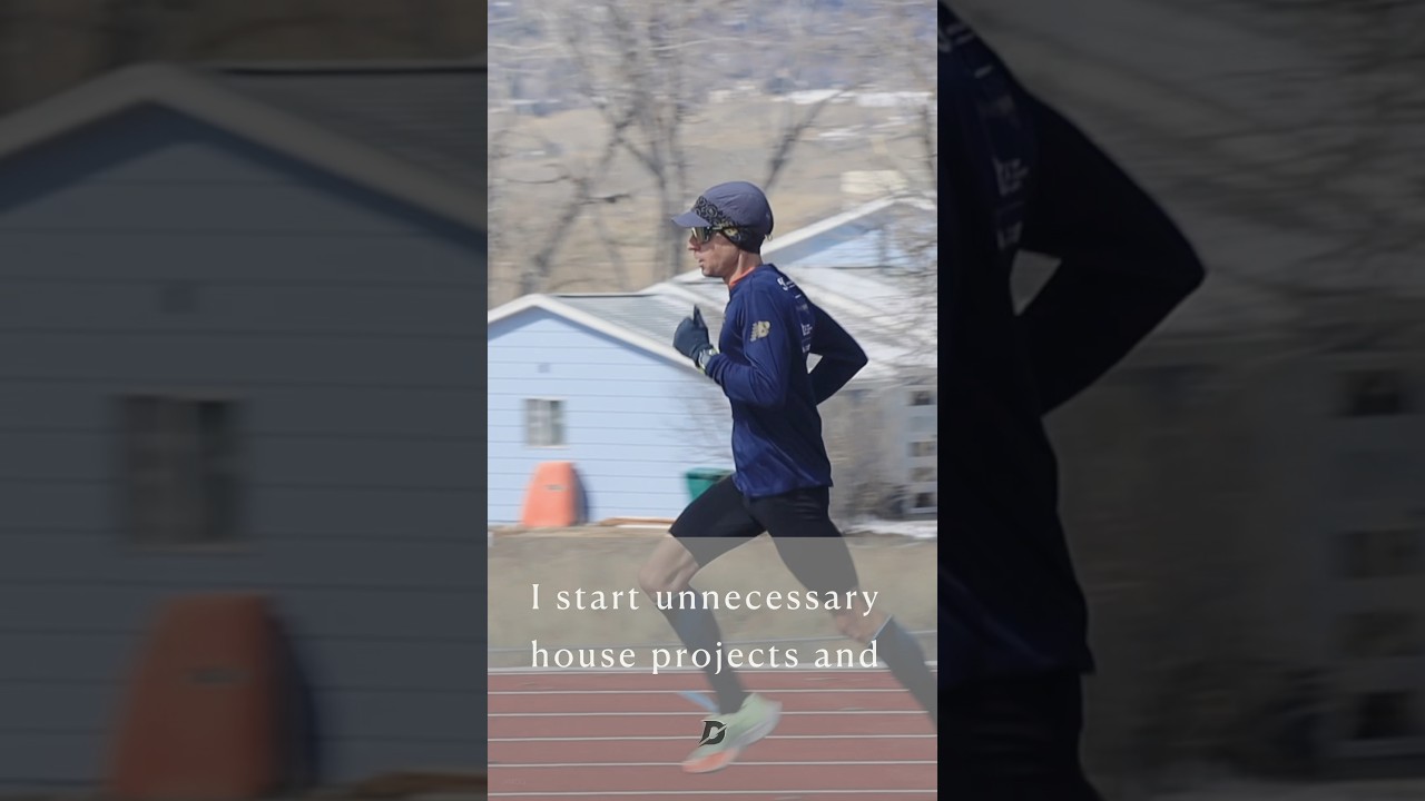 Border Collie Puppy Runners