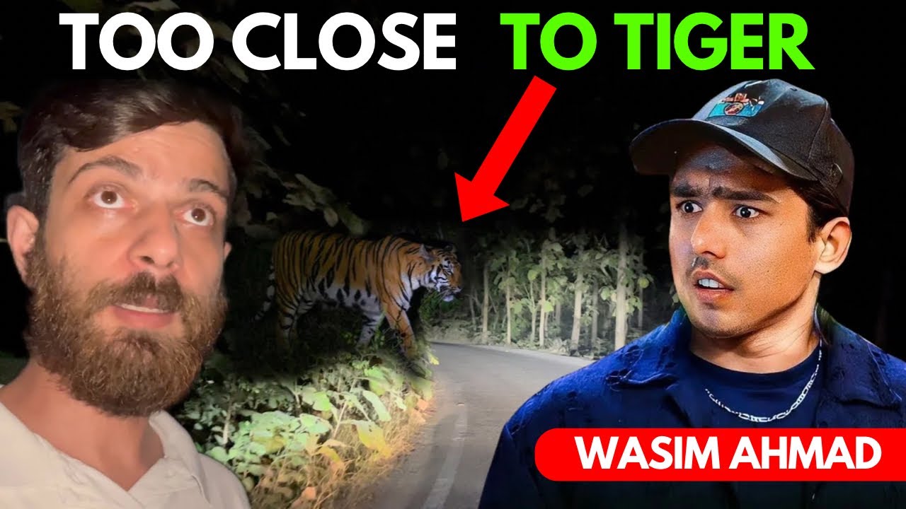MOST SCARY 😱 Night Drive in the Dense Forest of Jim Corbett National Park | Tiger Growling in jungle