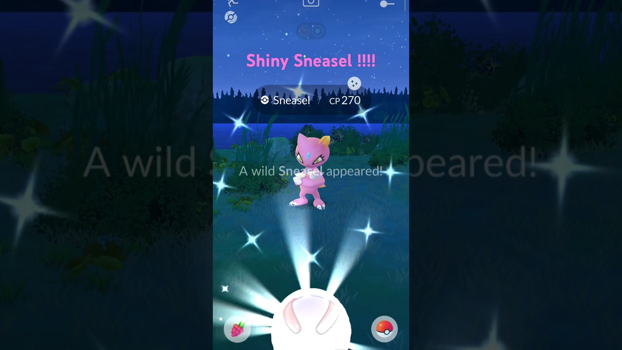 ✨Rarest Shiny Sneasel✨ in Pokemon Go 