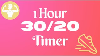 1 Hour 30/20 Timer