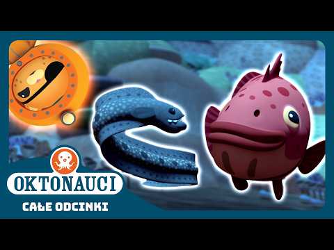 Oktonauci - 🦭 Niesamowite duety działające wspólnie ⛑️ | Kompilacja | Całe odcinki