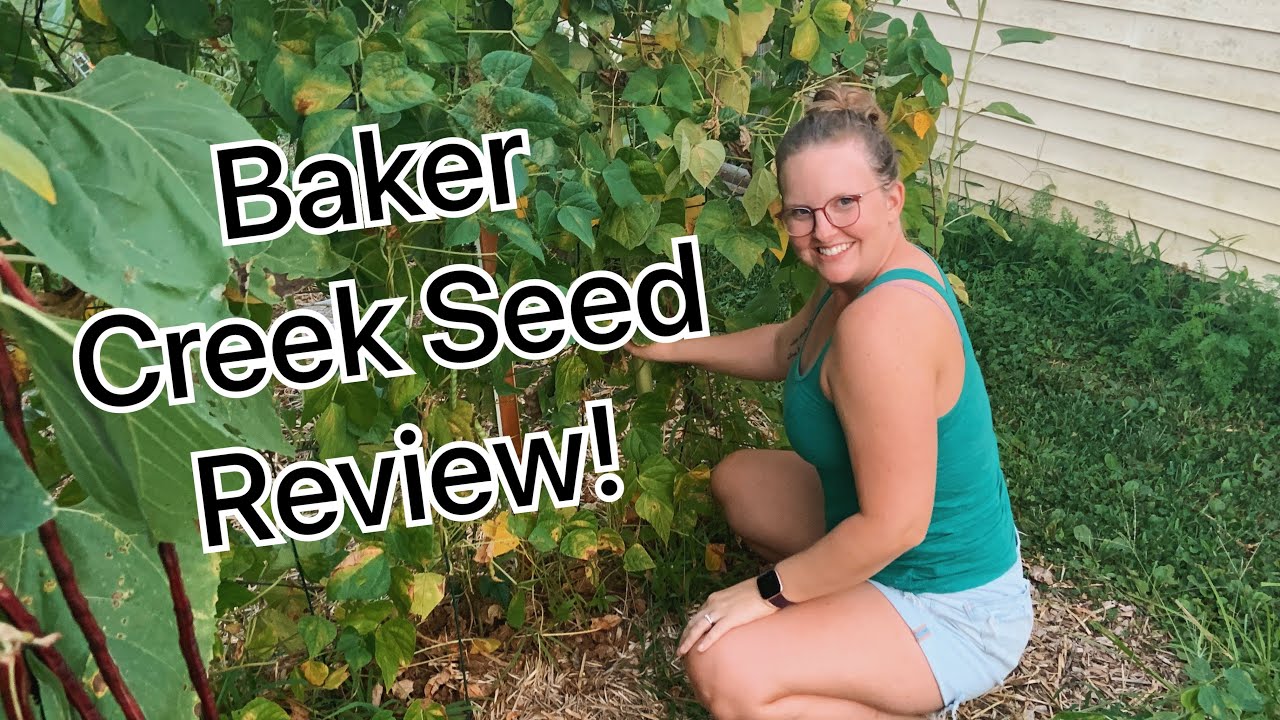 Baker Creek Seed ReviewBean VarietiesAugust 2021 YouTube