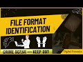 File Format Identification || What is File Format in Windows || File Formats