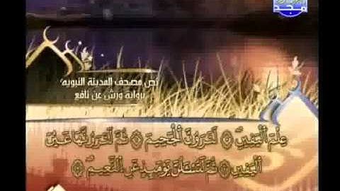 العيون الكوشي - سورة التكاثر