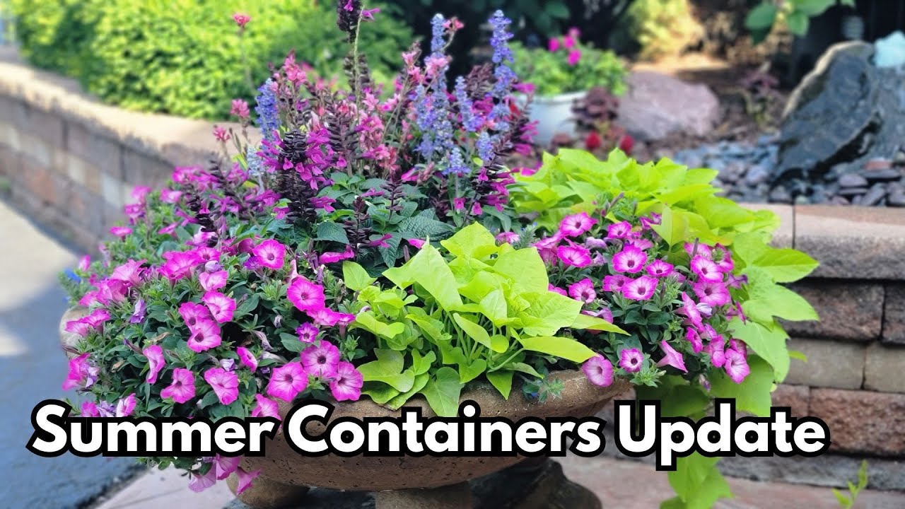 Container Update - YouTube
