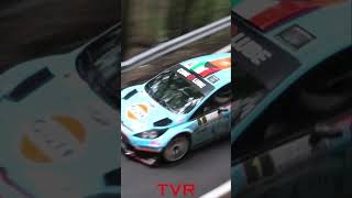 Rally della Lanterna 2019 #cars #foryou #rally #rallycar #wrc #ford #fordfiestawrc #shorts #fordst