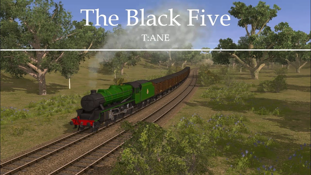 ~ The Black Five┃T:ANE ~